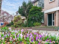 Langkampweg 40, 8101 AT Raalte