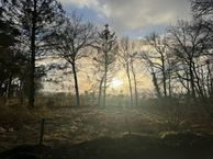 Jagtlustweg 15, 8162 NJ Epe