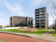 Elvis Presleylaan 29, 4462 LB Goes