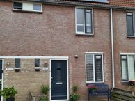 Boterzwin 3523, 1788 WK Julianadorp