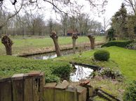 van Polanenpark 25, 4791 BP Klundert