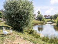 Zegerstraat 10, 4564 EP Sint Jansteen