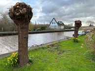 Ringdijk 8, 3648 EB Wilnis