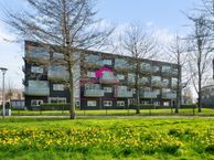 Muiderstraat 53, 2652 DA Berkel en Rodenrijs