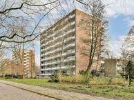 Bolestein 226, 1081 EB Amsterdam