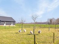 Lankhorsterstraat 12 A, 7255 LC Hengelo (GE)