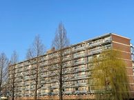 Alkenoord 37, 2903 XB Capelle aan den IJssel