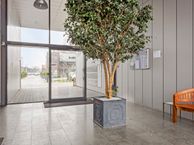 De Steven 7, 1502 BR Zaandam