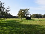 Steegschenhofscheweg, 5363 SR Velp (NB)