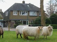 Verlengde Talmalaan 33, 3762 AB Soest