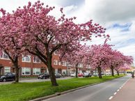 J.C. Kapteynlaan 35 a, 9714 CM Groningen