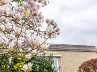 Potgieterlaan 17, 9752 EV Haren (GR)