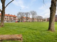 Haydnstraat 39 D, 3816 XB Amersfoort