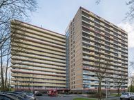 Oost-Dorsch 13, 1504 BH Zaandam