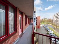 Suykers acker 39, 1965 RB Heemskerk