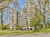 Groenhoven 167 11e, 1103 LC Amsterdam