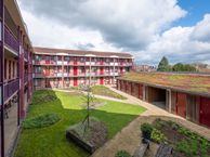 De Heus Plein 119, 3772 DC Barneveld