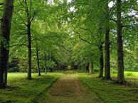 Groteweg 25, 8191 JS Wapenveld