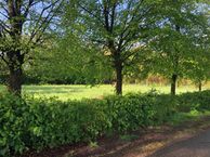 De Wolfsputten, 5709 PB Helmond