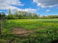 Apeldoornsestraat, 3781 PM Voorthuizen