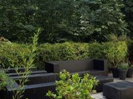 Frederiksstraat 35 H, 1054 LB Amsterdam