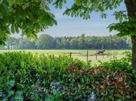 Carstenswijk 4, 7916 TM Elim