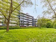 Top Naefflaan 65, 9721 VD Groningen