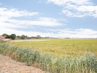 Rapenburg 50, 4581 AD Vogelwaarde