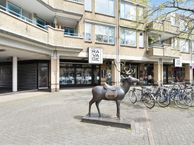 Vliethof 43, 2291 RZ Wateringen