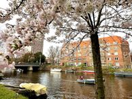 Jozef Israëlskade 50 H, 1073 PW Amsterdam