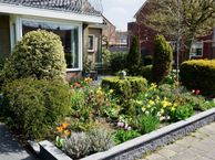 Zilkerduinweg 145, 2191 AJ De Zilk