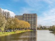 Oost-Dorsch 118, 1504 BN Zaandam