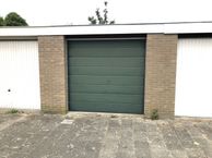 Tormentil 20 F, 1902 JM Castricum