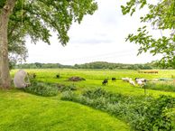 De Ree 11, 9753 BX Haren (GR)