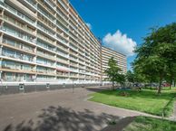 Pharus 209, 1503 EC Zaandam