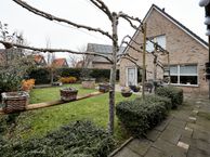 Stern 1, 4533 EK Terneuzen