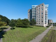 Meerkoet 439, 1113 EC Diemen