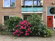 Alkmaarstraat 281, 1024 TR Amsterdam