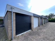 Roerdomp, 3235 SW Rockanje