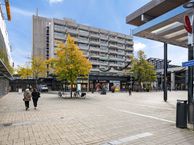 Notaris Oostingstraat 41, 7811 CP Emmen