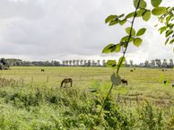 Oudendijk 118, 3319 AG Dordrecht