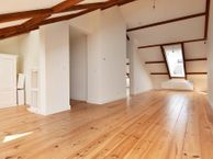 De Carpentierstraat 113-B, 2595 HG Den Haag