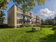 Gijsbert Steenhoekstraat 29, 3078 JE Rotterdam