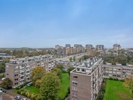 Ericalaan 193, 2555 LK Den Haag