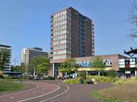 Bogaardplein 56, 2284 DN Rijswijk (ZH)