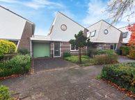 Ringmus 26, 1965 EH Heemskerk