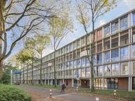 Het Hoogt 52, 1025 HB Amsterdam