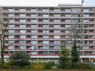 Bachstraat 52, 2324 GM Leiden