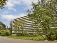 Bergmolen 10, 1035 BA Amsterdam