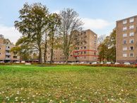 Friezenlaan 158, 5037 KN Tilburg